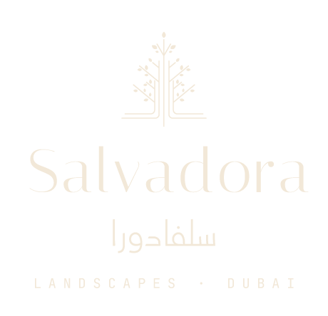 Salvadora Landscapes